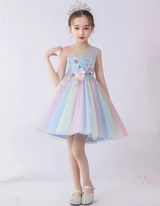 Birthday Party Ball Gown Dress