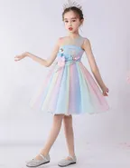 Birthday Party Ball Gown Dress