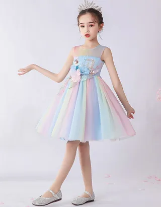 Birthday Party Ball Gown Dress
