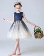 Glitter Princess Dress