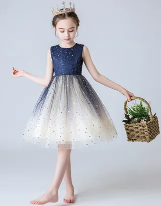 Glitter Princess Dress