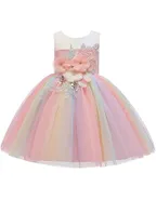 Birthday Party Ball Gown Dress