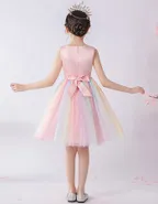 Birthday Party Ball Gown Dress