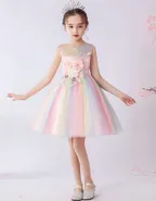Birthday Party Ball Gown Dress