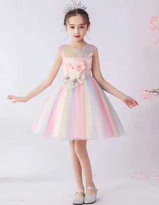 Birthday Party Ball Gown Dress